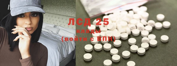 гидра Дмитров