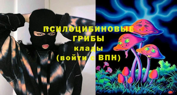 a pvp Гусиноозёрск