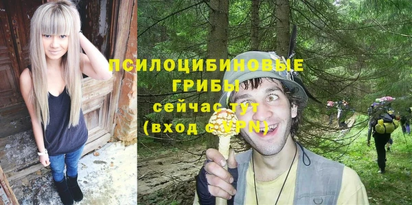 гидра Дмитров